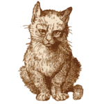 Mürrisch aussehende, sepiafarbene Katze sitzt
